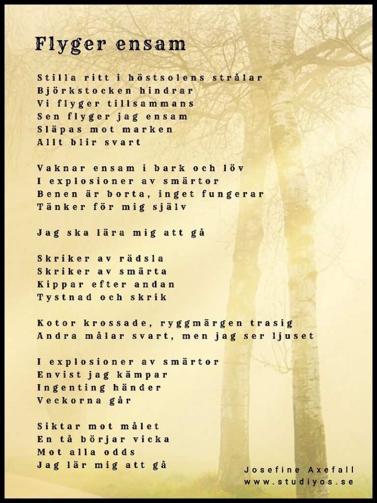 Dikten "Flyger ensam" skriven med svart text på ett foto av två björkar i ljusgult solsken

Stilla ritt i höstsolens strålar 
Björkstocken hindrar
Vi flyger tillsammans
Sen flyger jag ensam
Släpas mot marken
Allt blir svart

Vaknar ensam i bark och löv
I explosioner av smärtor
Benen är borta, inget fungerar
Tänker för mig själv

Jag ska lära mig att gå

Skriker av rädsla
Skriker av smärta
Kippar efter andan
Tystnad och skrik

Kotor krossade, ryggmärgen trasig
Andra målar svart, men jag ser ljuset

I explosioner av smärtor
Envist jag kämpar
Ingenting händer
Veckorna går 

Siktar mot målet
En tå börjar vicka
Mot alla odds
Jag lär mig att gå

Skriven av: Josefine Axefall www.axefall.se